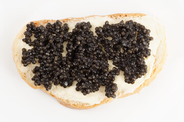 Real, not imitated, beluga caviar on bread with butter