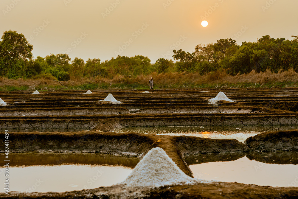 Wall mural Heaps of organic hand made salt in the salt pans around Panaji Goa.. Salt manufacturing industry and harvesting method  