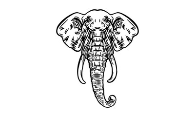 Elephant head illustration, vector, hand drawn, isolated on black background, african animal