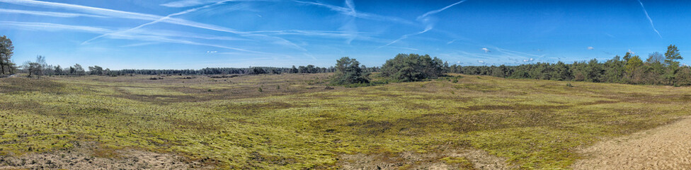 Fototapeta premium Kootwijker sands Veluwe