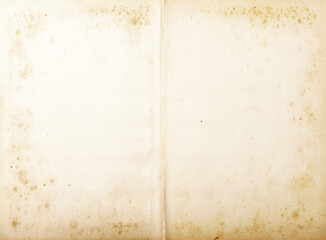 background of empty stained old paper, top view