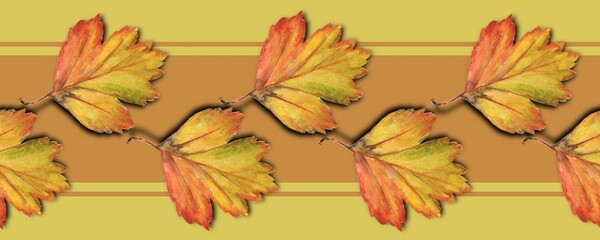 Fototapeta premium Seamless pattern, border, Yellow autumn leaves on orange striped background