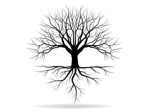 Black Trees and root with leaves look beautiful and refreshing. Tree and roots LOGO style.