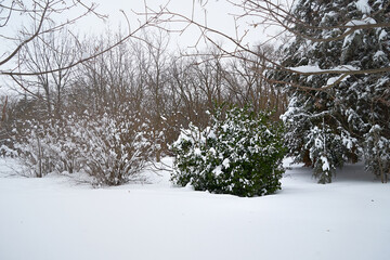 City park covered with snow.