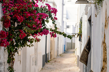 Narrow street with white houses and flowers in Olhao, south of Portugal