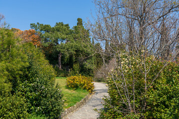 Image of a walkway in the spring park.