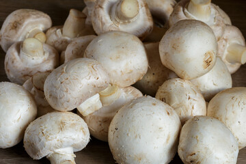 The fresh champignon mushrooms ready for cooking. A top view closeup of fresh mushrooms.