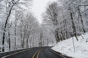 Canada road during winter trees covered in snow