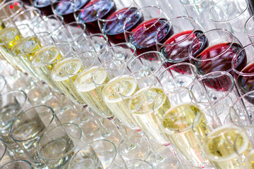 A lot of glasses with white wine and red wine glasses in a row.