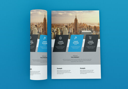 Cyan Flyer