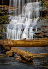 Large tree trunks at the base of Station Cove falls in South Carolina