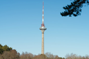 TV tower spring view throw the forest in Estonia, Tallinn.
