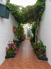 Pretty alley decorated with flowers in Chiclana de la Frontera, Cadiz, Spain