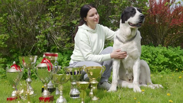 Female pet owner and her winner Central Asian shepherd dog with dogs show awards, woman with Alabay near winning cups. High quality 4k footage