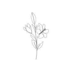 Hibiscus flower branch in continuous one line drawing. Modern line art. Vector illustration.