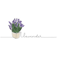 Lavender flowers in continuous line drawing with handwritten text. Modern line art. Vector illustration.