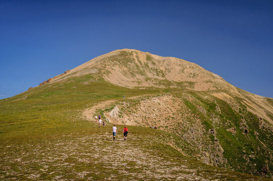 Bastiments peak seen from Coll de la Marrana mountain pass in summer (Ripoll&egrave;s, Catalonia, Spain, Pyrenees)