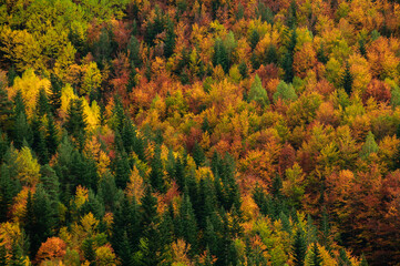 Fototapeta premium Bujaruelo valley in autumn (Ordesa and Monte Perdido National Park, Pyrenees, Spain)