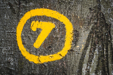 A yellow sign on a tree trunk