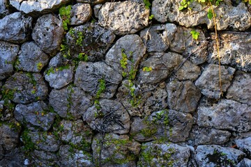Stone wall at Kinjo in Okinawa, Japan -  石垣 金城町石畳道 沖縄 日本