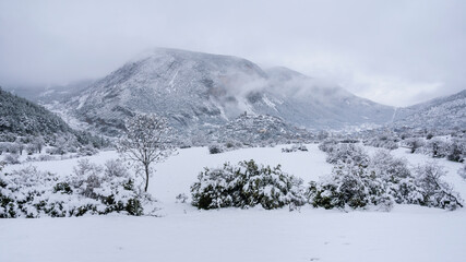 Gósol Valley after a spring snowfall (Berguedà, Pyrenees, Catalonia, Spain)