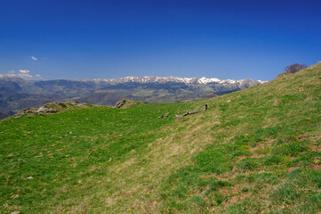 Naklejka premium Green meadows views near to the Comanegra summit (Garrotxa, Catalonia, Spain, Pyrenees)