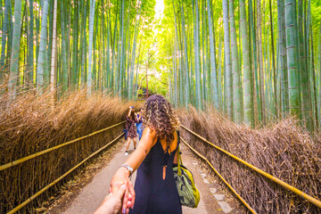 bamboo forest, Kyoto Japan 