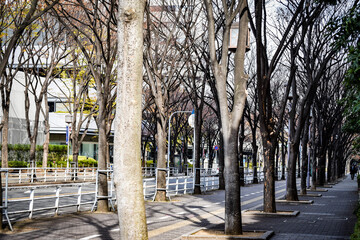 大阪、大阪城公園付近の景観