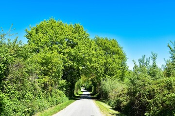 Straße in Damendorf in Schleswig Holstein
