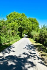 Damendorf, Straße in Schleswig Holstein