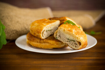 fried pies with meat in a plate on a white