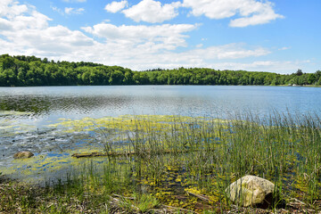 Otominskie Lake near Gdańsk, Poland. Beautiful spring landscape 