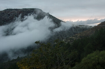 niebla en la montaña