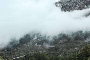 niebla en la montaña