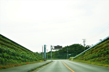 Expressway with palm tree in Okinawan, Japan - 沖縄 道路