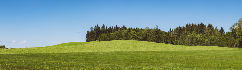 Panorama Wiese und Bäume im Sommer, Banner, Bannergröße, Hintergrund