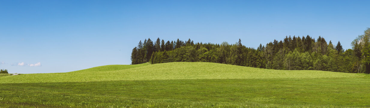 Panorama Wiese und B&auml;ume im Sommer, Banner, Bannergr&ouml;&szlig;e, Hintergrund