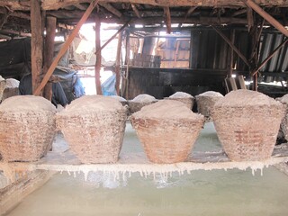 salt farm
