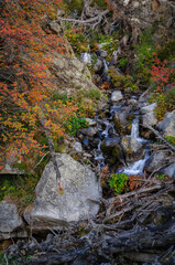 Vall Tova in autumn, on the path between the plain of Campllong and the Engorgs mountain hut...
