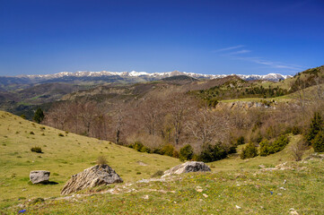 Views from near to Coll Ferriol and Basses de Monars, on the Comanegra trail (Garrotxa, Catalonia, Spain, Pyrenees)