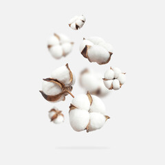 Obraz na płótnie Canvas White flying cotton flowers isolated on light gray background. Delicate beauty cotton background. Natural organic fiber, agriculture, cotton seeds, raw materials for fabric