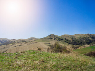 Green grass on the yellow spring alpine meadows of the Gumbashi pass. Mountainous, hilly summer landscape of the Caucasus Mountains. Nature of Russia, pasture ridge.