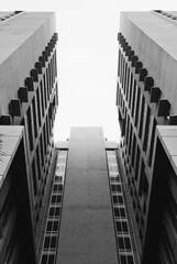 Fototapeta premium frog eye view angle office building in daylight