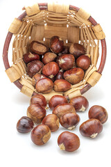 Basket with chestnuts. Isolated on white background.