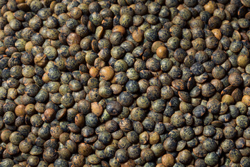 Raw Black Organic Lentils