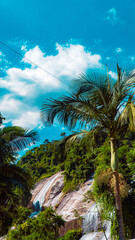 Fototapeta na wymiar Tropical Island Waterfall Rapids Water Nature Paradise Summer Adventure Travel Tourism Green Blue Trees Landscape Leaves Mountain Hills Birds Palm tree View