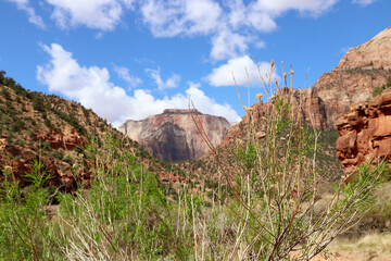 red rock canyon