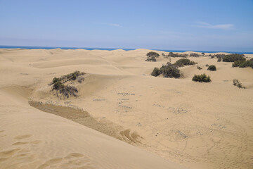 sand dunes and sky
