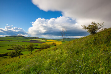 After rain in the Central Bohemian Uplands, Czech Republic.