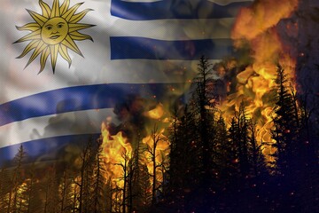 Forest fire natural disaster concept - flaming fire in the woods on Uruguay flag background - 3D illustration of nature